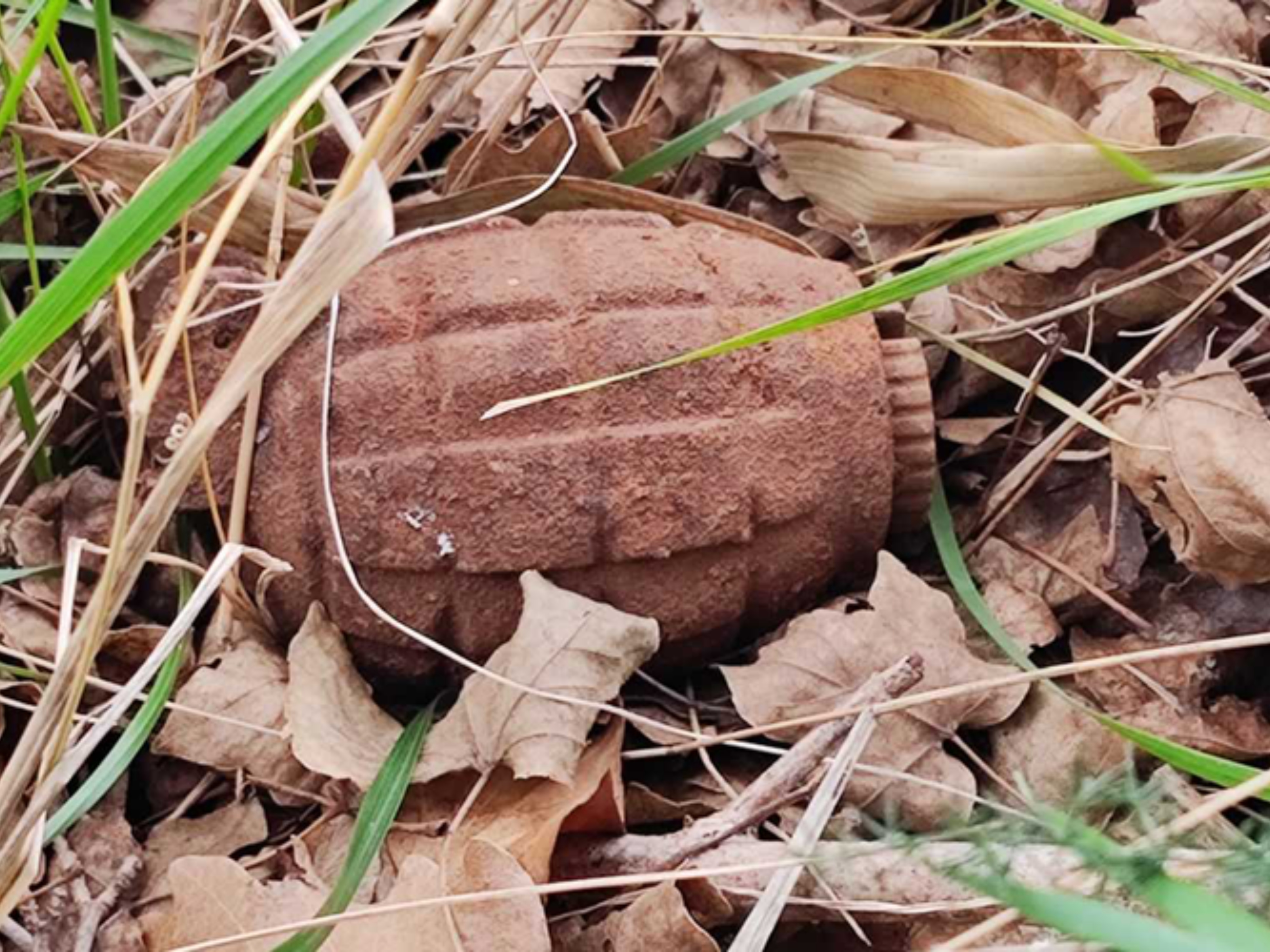 Čistila kuću pa pronašla BOMBU!